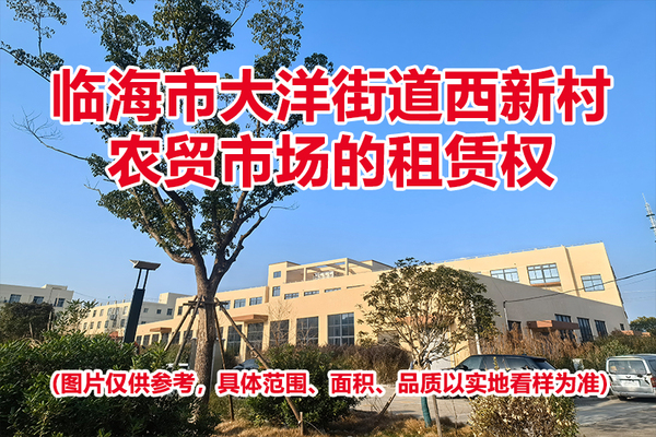 临海市大洋街道西新村农贸市场的租赁权